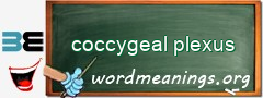 WordMeaning blackboard for coccygeal plexus